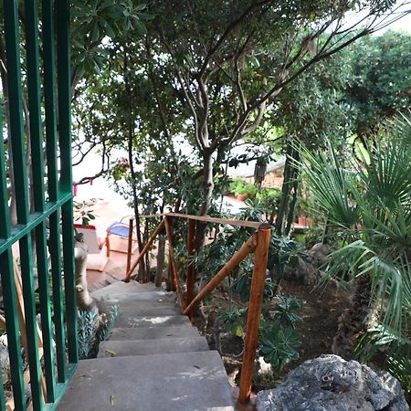 Casa Elvira Villa Terrasini Exteriör bild