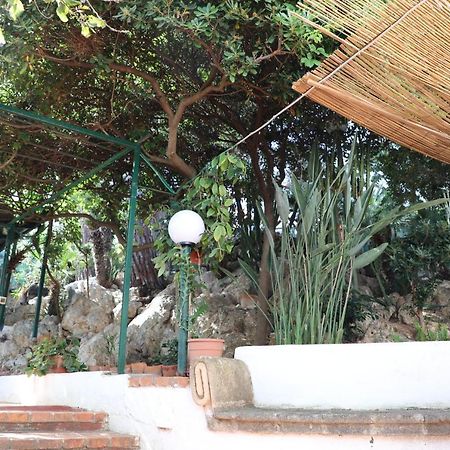 Casa Elvira Villa Terrasini Exteriör bild