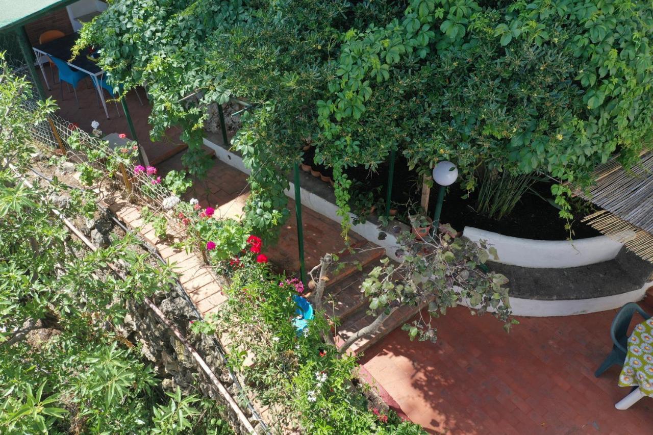 Casa Elvira Villa Terrasini Exteriör bild